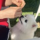 하울리데이 이미지