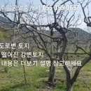 강 가까운 토지 펜션부지 캠핑장부지 매매 2차선 도로변 토지 624평 (밀양상동면) 이미지