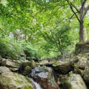 진틀펜션캠핑장 이미지