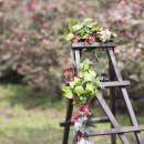 매화민박 이미지