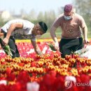 세계 코로나19 현황-미국 스페인 이탈리아 프랑스 독일 영국 스위스 벨기에 네덜란드 터키 이란 캐나다 브라질 일본 등 코로나 확진자 사망자 현황 이미지