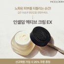 인셀덤 스킨올 이미지