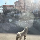 오창농장 티스토리