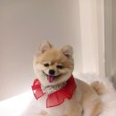 숯불과 닭갈비 이미지