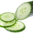 웰빙건강랜드 이미지