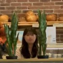멍멍이 과자점 | 네가 있는 곳으로 I’ll move on