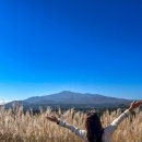 MBC공인중개사사무소 이미지