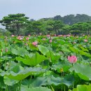 서동과 선화공주 사랑 이야기를 담은 궁남지 주변 작은 산-부여 필서봉(118.1m)~오석산(183.1m) 외 2산 이미지