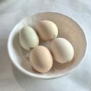 박달로 | [제천 | 밥벗 박달로62] 제천 리솜 근처 맛집 1등, 솥밥 묵은지 내돈내산