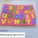 꽃길라이브
