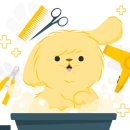 댕댕아 이리온 이미지