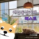 베스트 애견 이미지