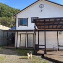 솔내음펜션C동 | [양양 애견동반 숙소] 물내음 솔내음 애견동반 펜션 🏡