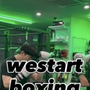 위스타트복싱 이미지