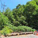 솔숲민박 이미지