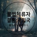 국제인권행정사 이미지