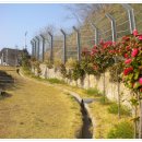 등대민박 이미지