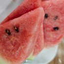 천생산황토오리곤드레밥 이미지