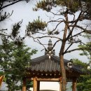 쉐프두리