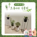 센스있는 집들이 선물로 추천하는 원주시 꽃집 :: 초록나라 식물원