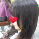 상남동242 이미지