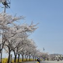 동락공원 자전거대여소(하절기) 이미지