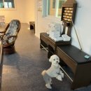 돌고래당구장 이미지