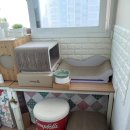 모던펫코리아 이미지