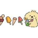 정담디 이미지