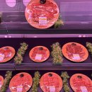 삼호축산농장 이미지