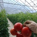 막골농장 이미지