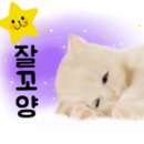 국제그린세탁소 이미지