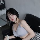 맥심핏