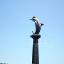 로비나발리