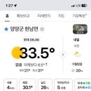 김미정 야식 이미지