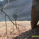 철선농장 이미지