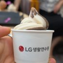 찬스게임장 | 경북 울진/ LG임직원 혜택 끝판왕! LG생활연수원 무료 온천·수영장부터 가성비 식당까지 솔직 후기