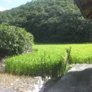 괴산군청천면지경보건진료소 이미지