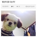 이공일팔 이미지