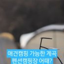 캠핑포유펜션 네이버블로그