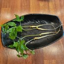 옛골토성 이미지