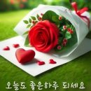 나운동 Daum카페