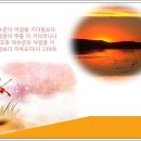 찬송가 / 504장 주님의 명령 전할 사자여 이미지