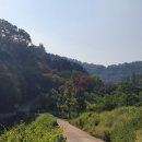 소아르미술관 이미지