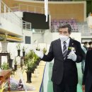 보령난