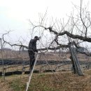 김제용인농원