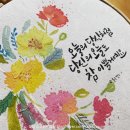 하라고 22호