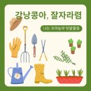 신세대어린이집 이미지