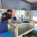 기장바다장어구이 이미지