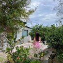 스테이 리네 이미지